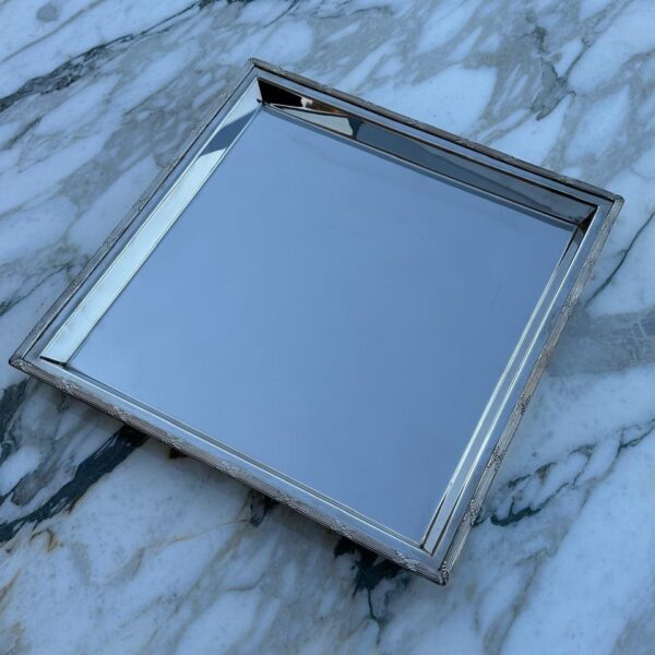 Hayat stainless steel tray