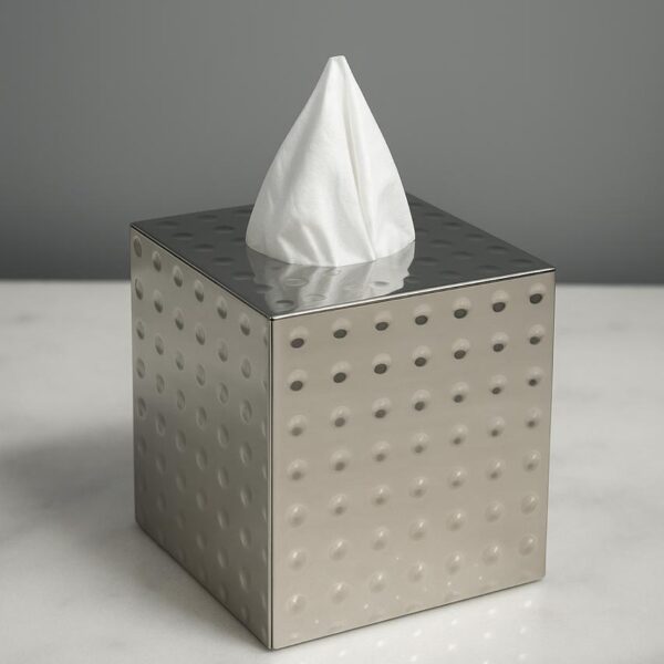 Cleepa Stainless Steel Tissue Box